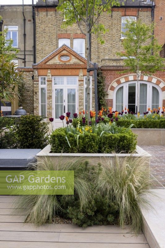 Suburban garden in spring - raised border in contemporary suburban garden, with views towards house