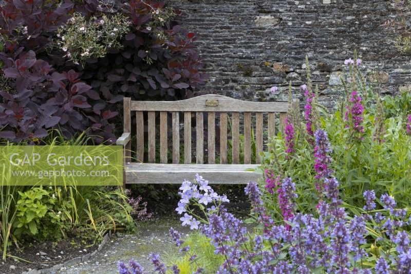 A bench sits amidst prolific cottage style planting beside a stone wall. The Garden House, Yelverton, Devon. Summer. 