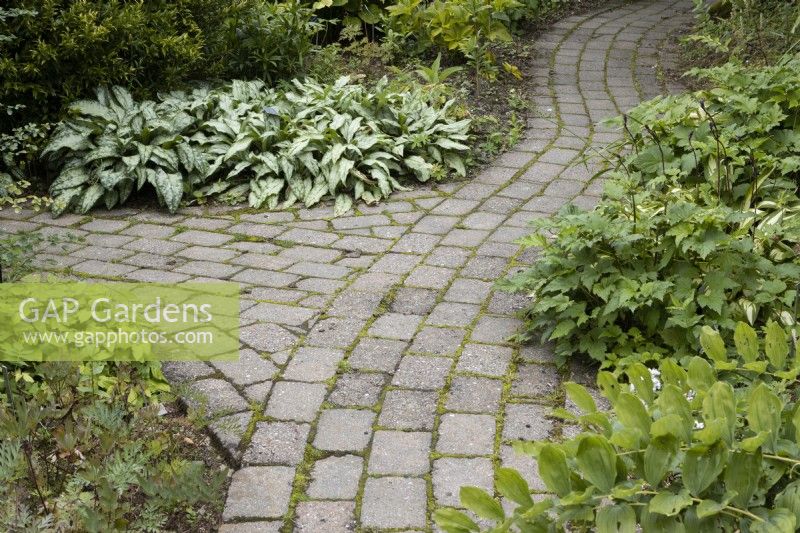 Curved brick path with junction. Green foliage lines either side. Summer. 