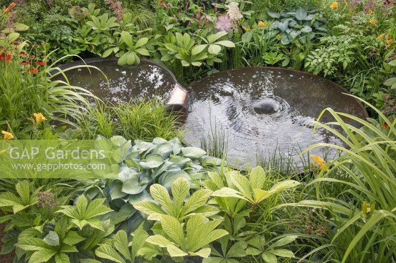 Marginal plants around two linkded ponds in the RHS Planet-Friendly Garden at RHS Hampton Court Palace Garden Festival 2022