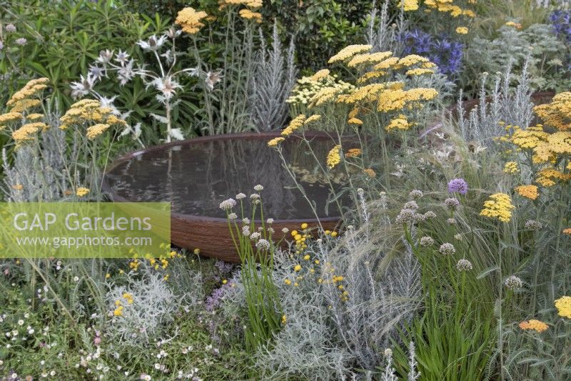 Achillea and mixed perennials surround a corten steel water feature in the RHS Planet-Friendly Garden at RHS Hampton Court Palace Garden Festival 2022