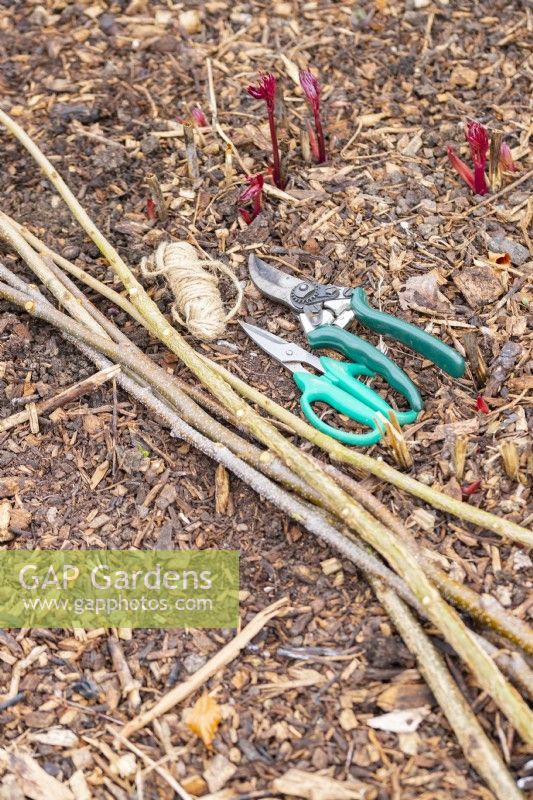 Secateurs, scissors, string, birch and hazel sticks laid out on the ground
