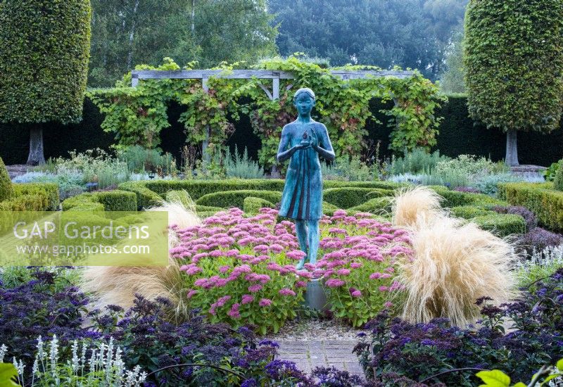 The Formal Garden, with a knot garden  of Buxus sempervirens, Box and Berberis thunbergii atropurpureum, Purple Barberry. The statue of a young girl  stands amongst Sedum 'Autumn Joy', Heliotropium arborescens, Heliotrope, and Stipa tenuissima, Mexican Feather Grass.  The garden is walled in by a tall Taxus baccata,  Yew hedging.  Waterperry Gardens, Wheatley, Oxfordshire, UK