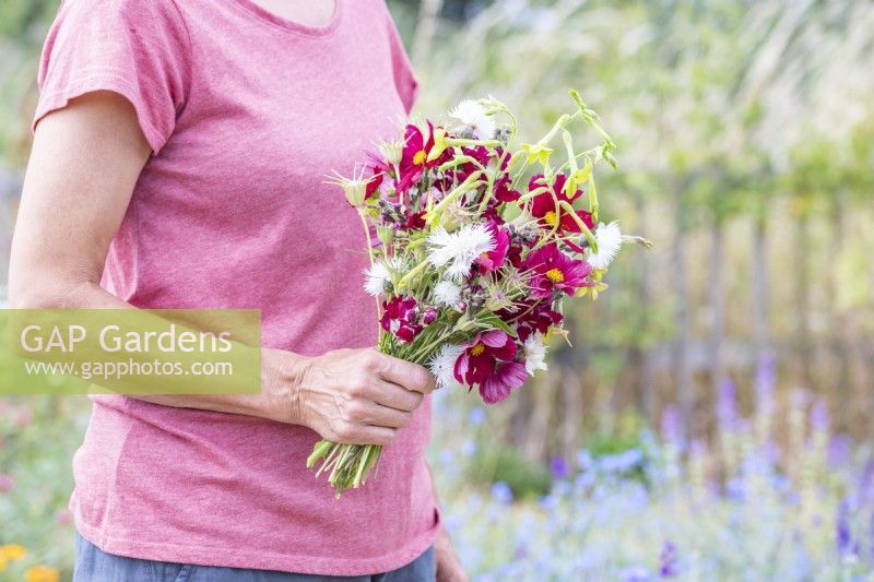 Woman holding a bouquet containing Cosmos 'Rubenza', Amberboa 'The Bride', Antirrhinum 'Night and Day', Nicotiana 'Lime Green' and Nigella seed pods