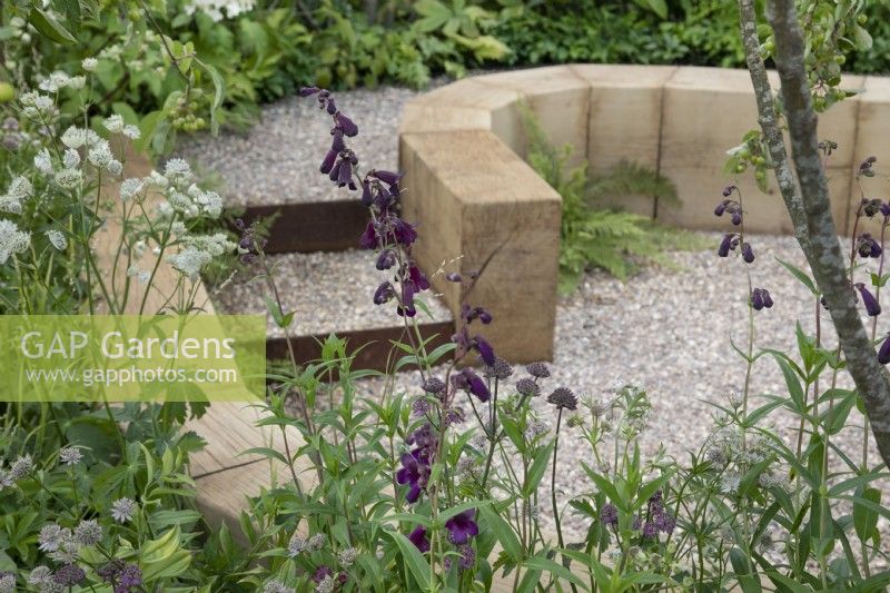 Sunken terrace in The Wooden Spoon Garden at RHS Hampton Court Palace Garden Festival 2022
