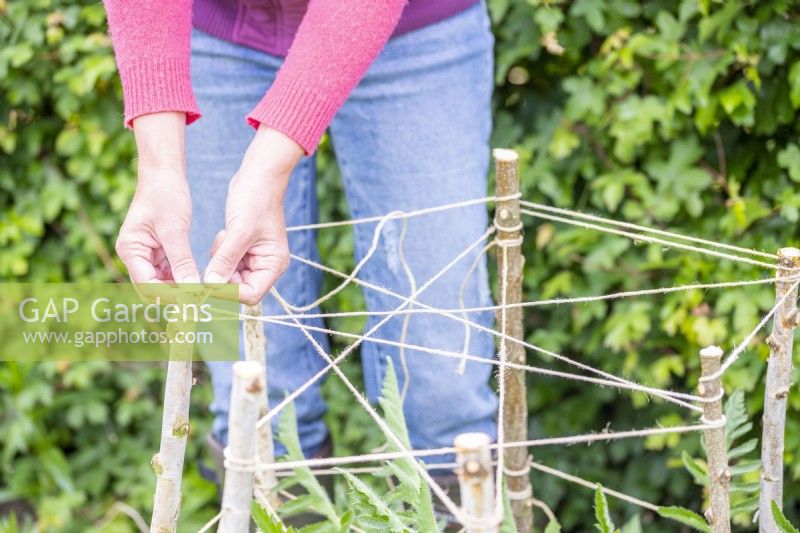 Woman tying the string across to each stick to create a supporting web
