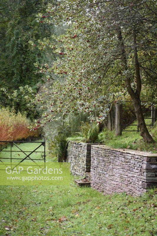 Stone retaining wall beside a grass path in a country garden in November
