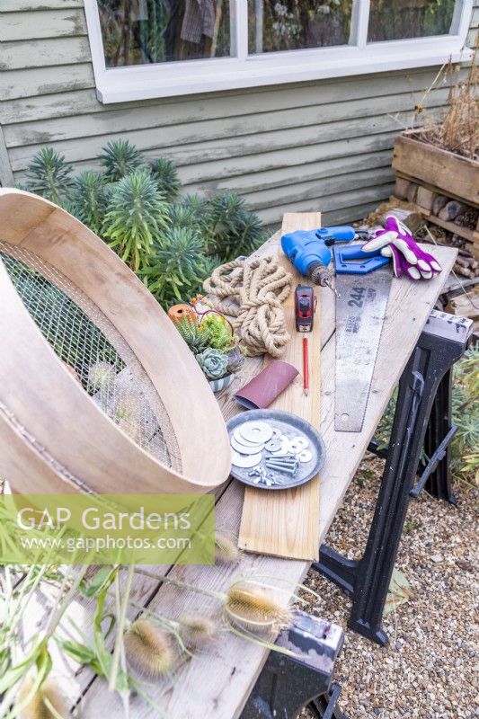 Garden sieve, succulents, wooden planks, rope, drill, saw, sandpaper, pencil, small pots, dipsacus - teasel, gloves, washers, nuts and bolts laid out on a wooden surface
