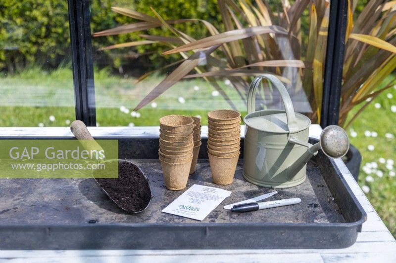 fibre pots, watering can, pen, labels, compost and sunflower seeds laid out on a table
