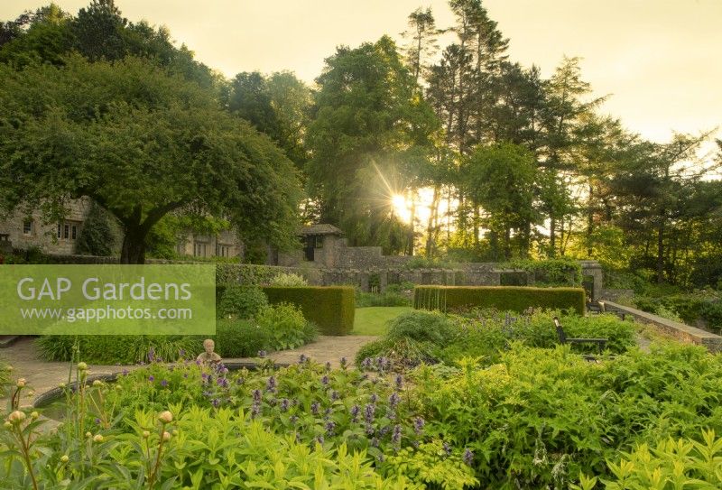 A view over plantings on the main terrace at sunrise at Parcevall Hall Gardens in June