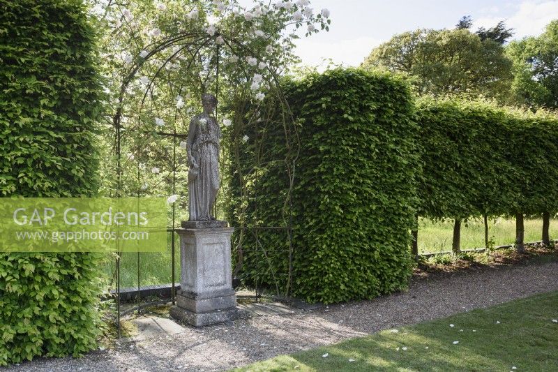 Statue of a classical female figure in a rose arbour at Doddington Hall near Lincoln in May