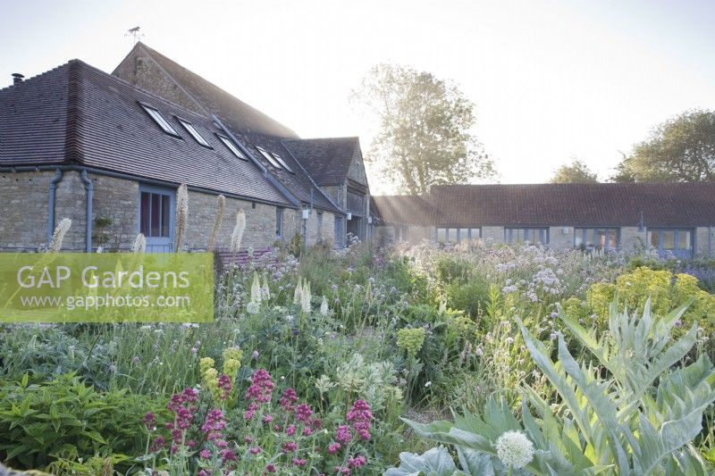 Hailstone Barn, Gloucestershire, gravel garden with late May perennial planting.