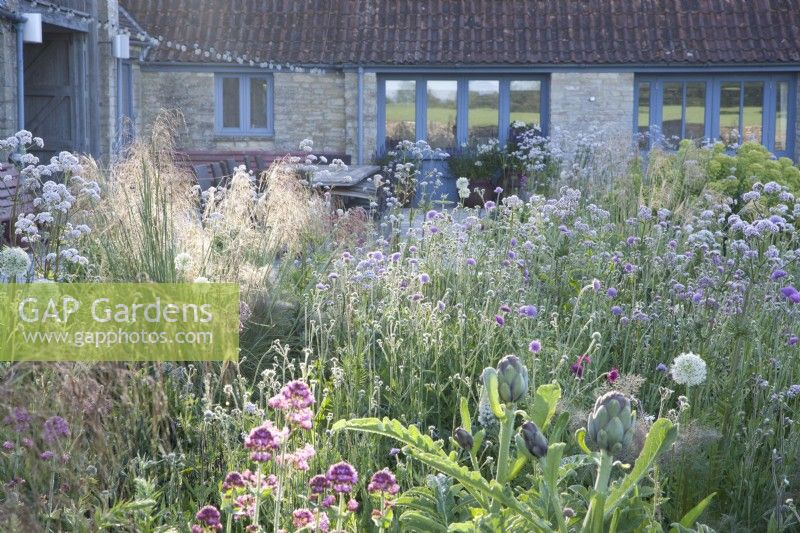 View of Hailstone Barn, Gloucestershire, through late May perennial planting.