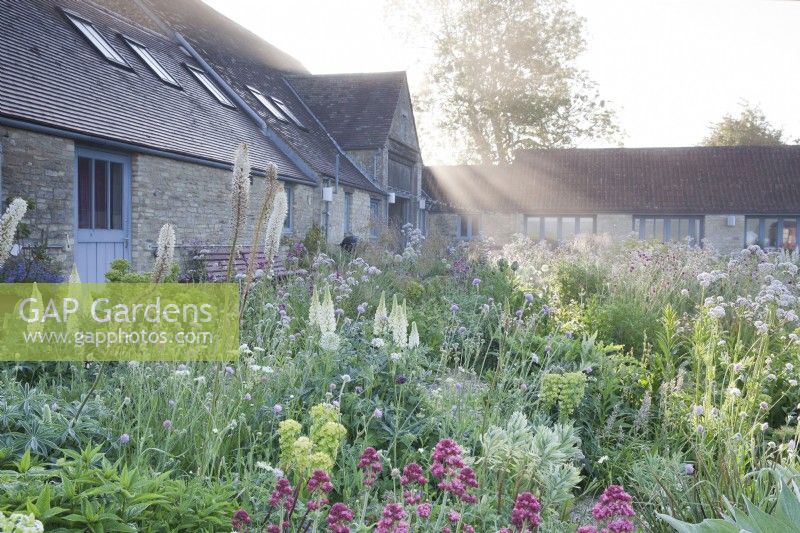 View of Hailstone Barn Gloucestershire, across late May perennial planting.