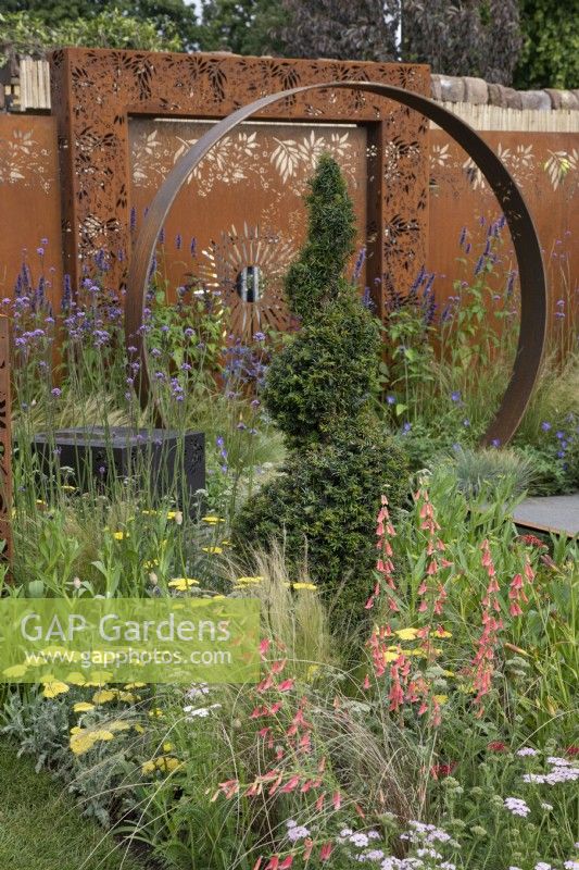Spiral topiary in front of corten steel moongate in the Sunburst garden at RHS Hampton Court Palace Garden Festival 2022