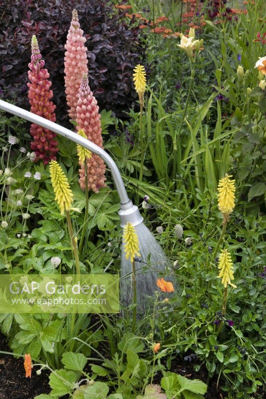 Watering with a long handled house in A Jouney, in Collaboration with Sue Ryder garden at RHS Hampton Court Palace Garden Festival 2022