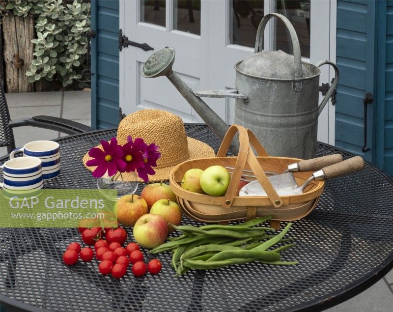 Relaxing area on a paved terrace, summer house, metal chairs and table with garden produce of apples, runner beans and tomatos