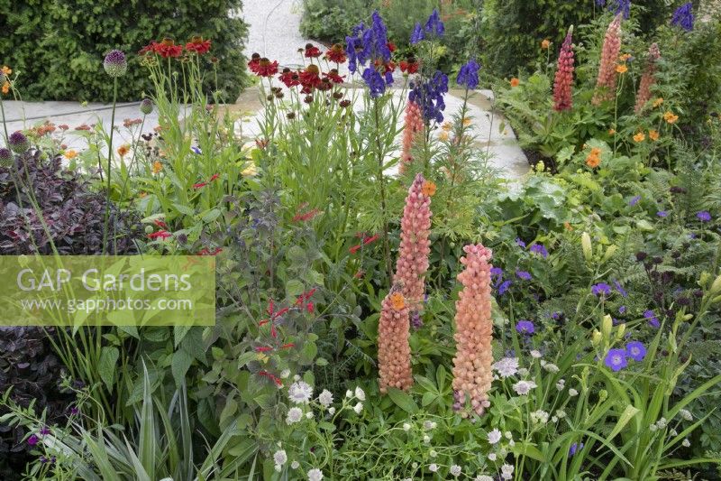 Perennial mixed planting in A Jouney, in Collaboration with Sue Ryder garden at RHS Hampton Court Palace Garden Festival 2022