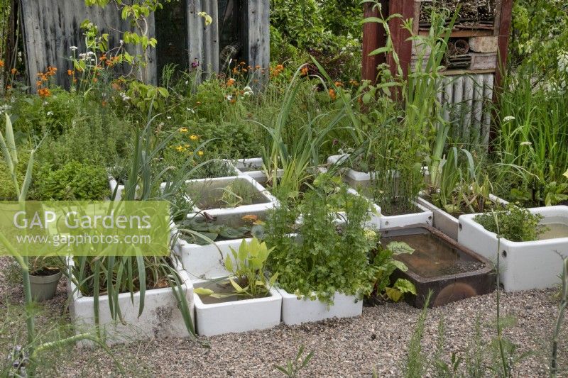Reclaimed stone sinks as planters and water features in Frances' Garden at BBC Gardeners World Live 2022