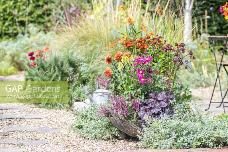 Shallow container planted with Heuchera 'Little Cutie Frost', Anemone 'Fantasy Red Riding Hood', Astrantia 'Sparkling Stars', Calluna vulgaris and Kniphofia 'Red Hot Poker' 