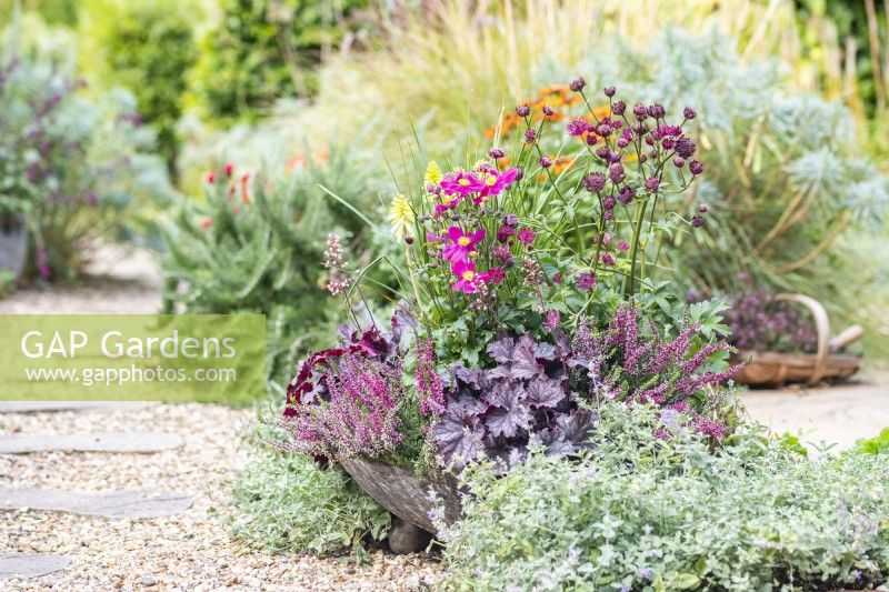 Shallow container planted with Heuchera 'Little Cutie Frost', Anemone 'Fantasy Red Riding Hood', Astrantia 'Sparkling Stars', Calluna vulgaris and Kniphofia 'Red Hot Poker'