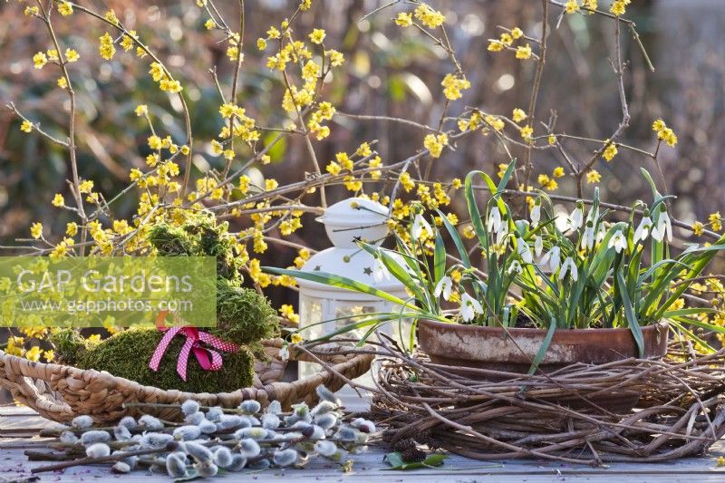 Table arrangement with Galanthus nivalis and moss hare.