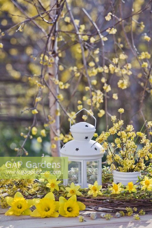 Yellow themed table arrangement with daffodils, wreath of willow twigs and Cornelian cherry dogwood.