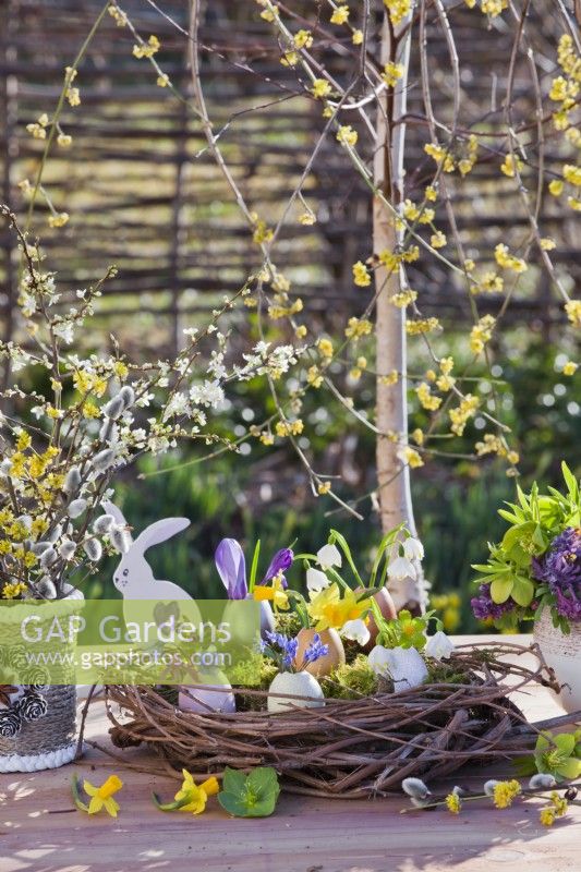 Easter arrangement with grapevine wreath nest, coloured egg shells planted with spring flowers and flower bouquets in vases - pussy willow catkins, Cornelian cherry, daffodils, Scilla, Corydalis, Hellebore and snowflakes.