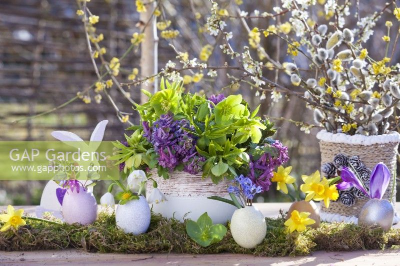 Easter arrangement with spring flower bouquet in vase and coloured egg shells planted with flowers - Helleborus viridis, Corydalis solida, Leucojum, Narcissus and Scilla.