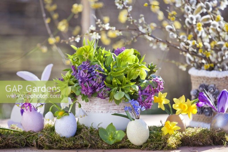 Easter arrangement with spring flower bouquet in vase and coloured egg shells planted with flowers - Helleborus viridis, Corydalis solida, Leucojum, Narcissus and Scilla.