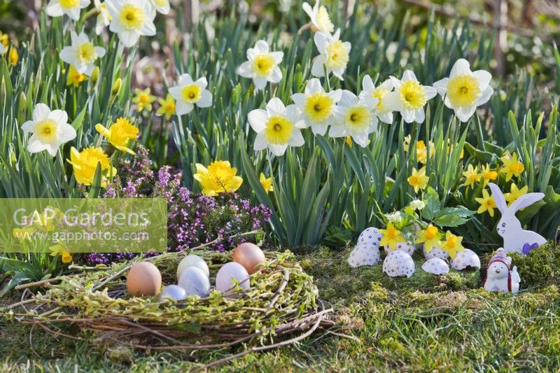 Willow twig and moss nest with coloured eggs, a hen and a bunny in front of the bed with daffodils.
