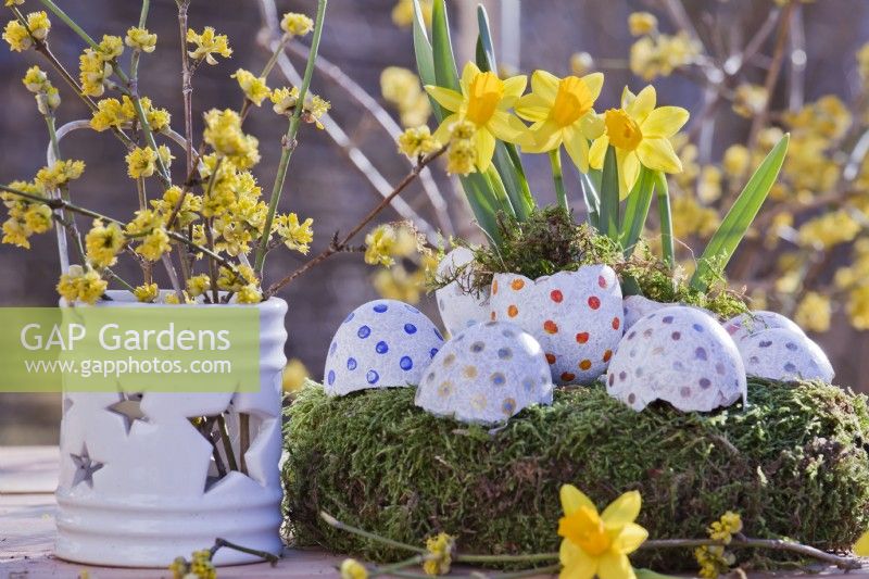 Easter display with daffodils, Cornelian cherry twigs and eggs on a moss nest.