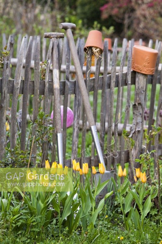 Garden tools leaning on wooden fence.
