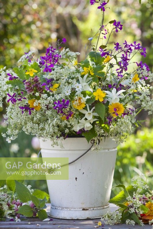 Spring flower bouquet in a bucket containing daffodils  and wild flowers such as dandelion, cow parsley, honesty, buttercup and balm-leaved archangel.