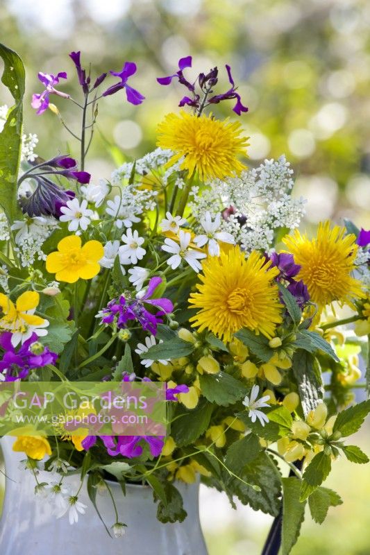 Flower bouquet containing greater stitchwort, honesty, dandelion, yellow archangel, lungwort and buttercup.