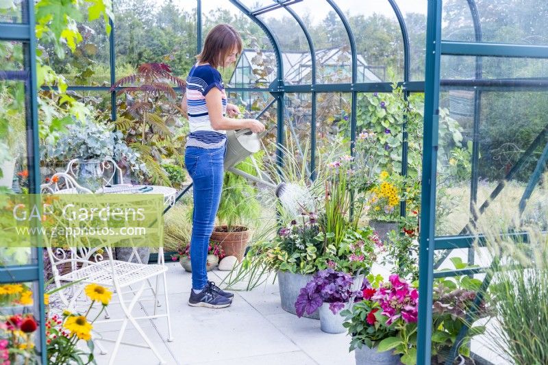 Woman watering a large planted metal container in a greenhouse