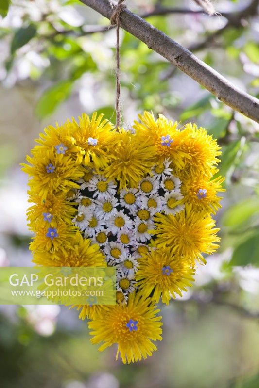 Heart made of dandelion and daisies hanging from a tree.