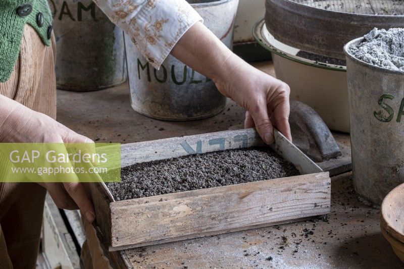Creating your own seed compost with the correct mixture of ingredients. Filling a seed tray with the mixture
