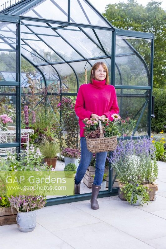 Woman carrying a basket containing Coprosma 'Inferno' and Echinacea 'Sunseekers Salmon' out of a greenhouse
