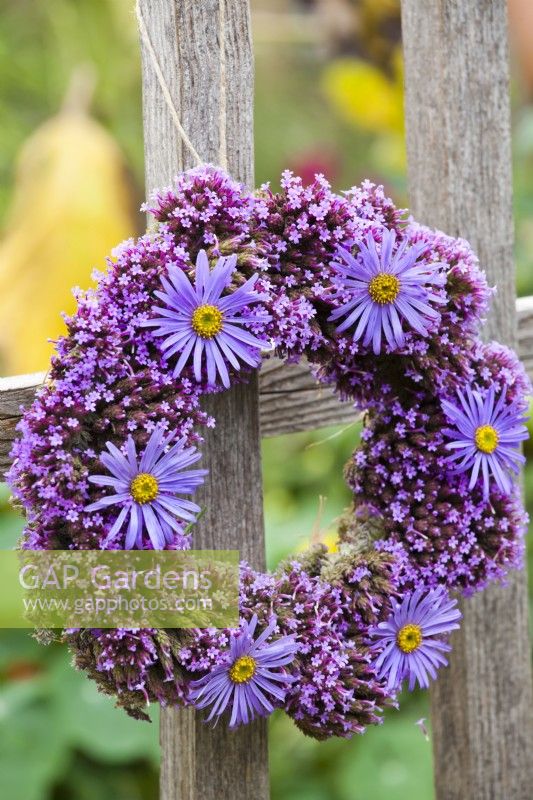 Floral wreath of verbena and aster flowers.