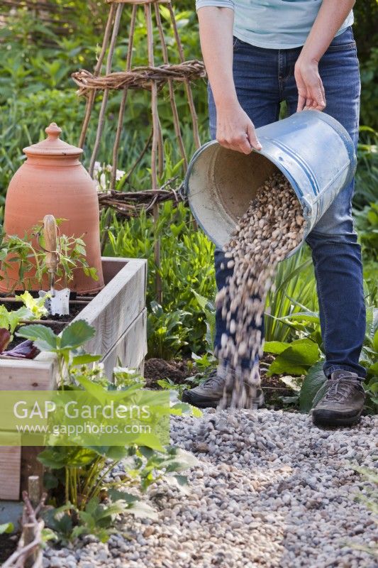 Woman adding layer of gravel on path in vegetable garden.