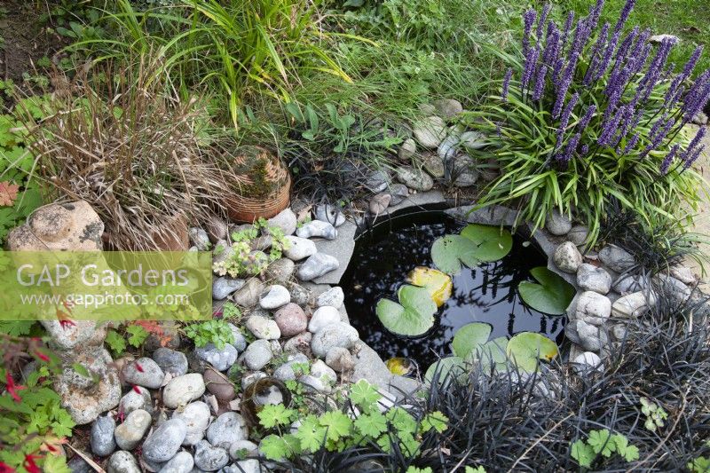 Small pond bordered by ophiopogon and pebbles