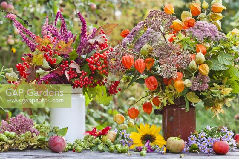 Autumnal bouquets containing Guelder rose branches with berries, Love Lies Bleeding, sedum and chinese lanterns.
