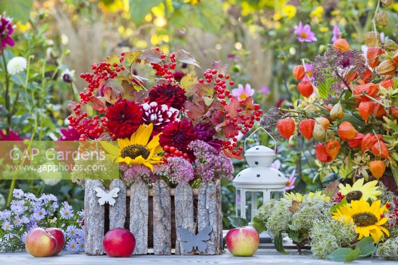 Late summer floral display with sunflowers, dahlias, chinese lantern and guelder rose branches with berries on the table.