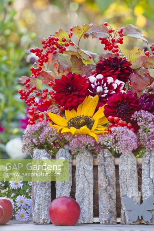 Late summer floral display with sunflowers, dahlias and guelder rose branches with berries on the table.