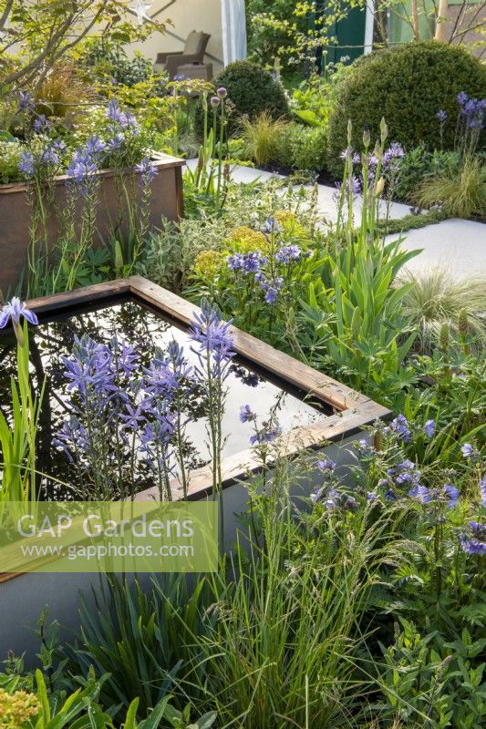 Raised water feature surrounded by Spring planting with Camassia - Abigail's Footsteps, RHS Malvern Spring Festival 2022