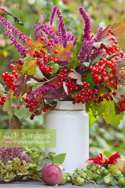 Autumnal bouquet containing Guelder rose branches with berries and Love Lies Bleeding.