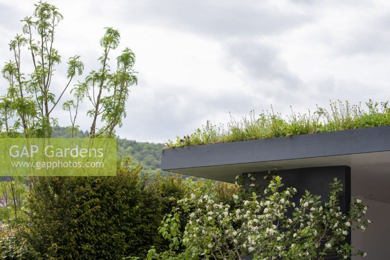 Green roof - The Cancer Research UK Legacy Garden, RHS Malvern Spring Festival 2022