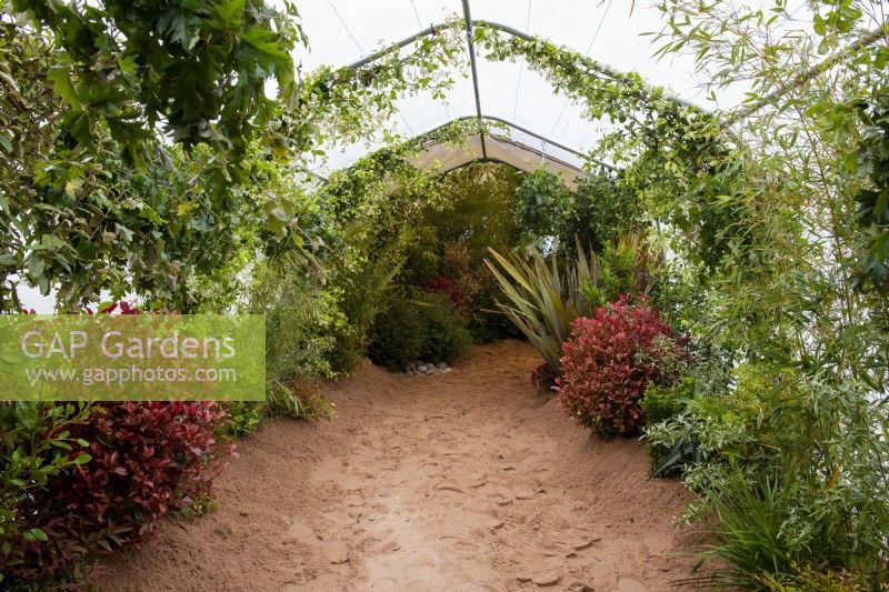 Welcome to the Jungle, RHS Malvern Spring Festival 2022