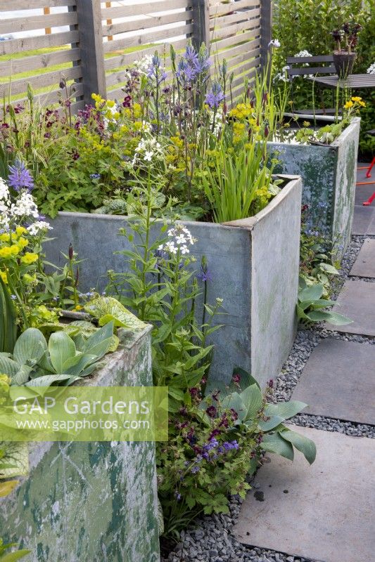 Planting in galvanised water tanks - Affordable Gardens, Task Garden, RHS Malvern Spring Festival 2022